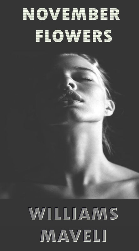NOVEMBER FLOWERS :  DAY 28 WILLIAMS MAVELI WRITES, DARKNESS