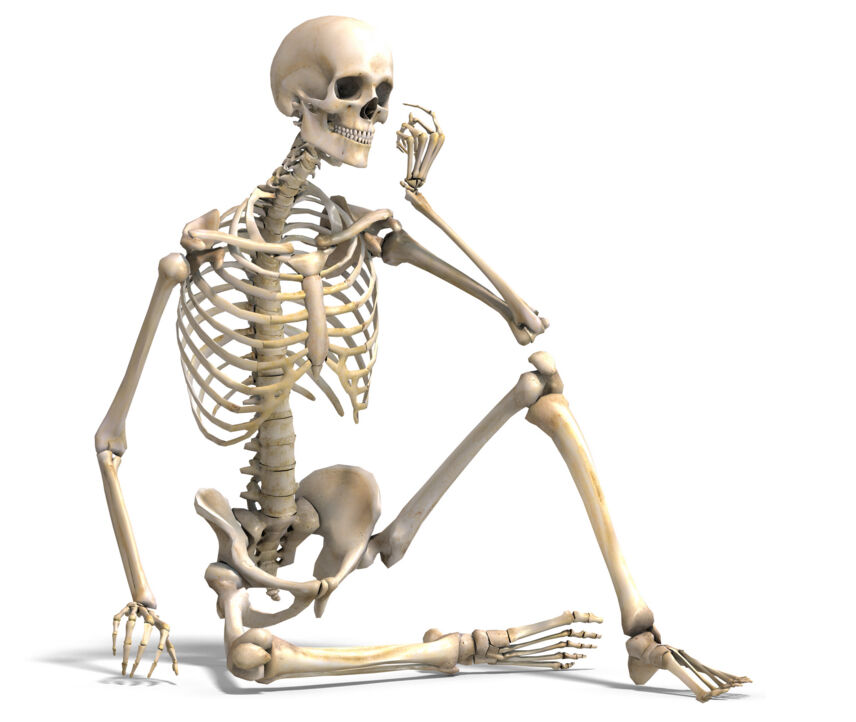Dem Bones Dem Bones