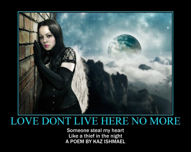 Love don’t live here anymore Love don’t live here anymore