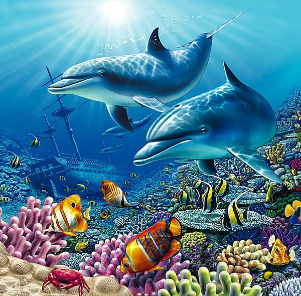 Deep blue ocean Deep blue ocean
