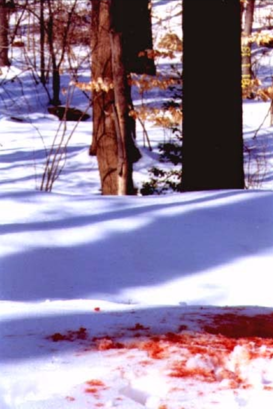 Fargo 