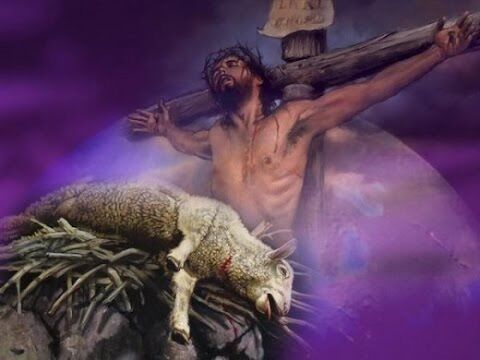 Lamb of God Lamb of God