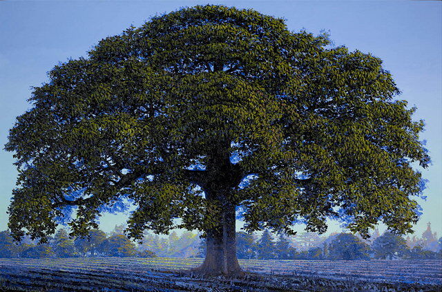 Mighty Oak Mighty Oak