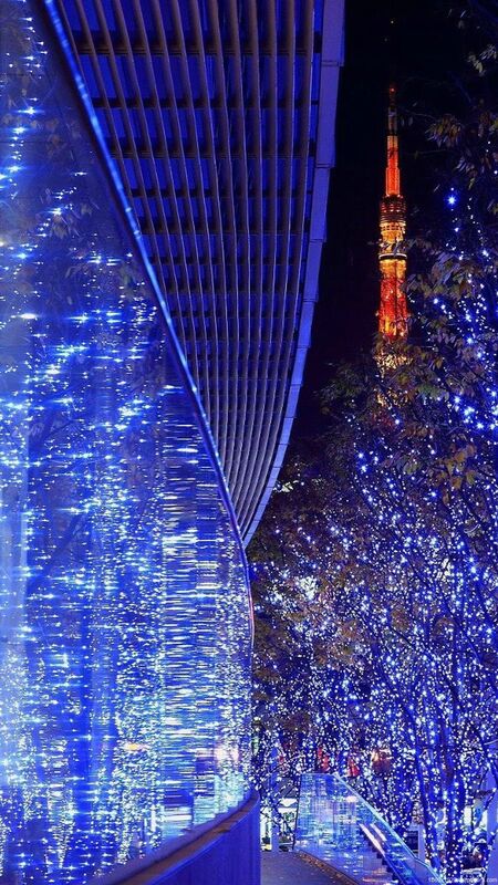 " THE UNIVERSAL HOLIDAY OF LIFE " " THE UNIVERSAL HOLIDAY OF LIFE "