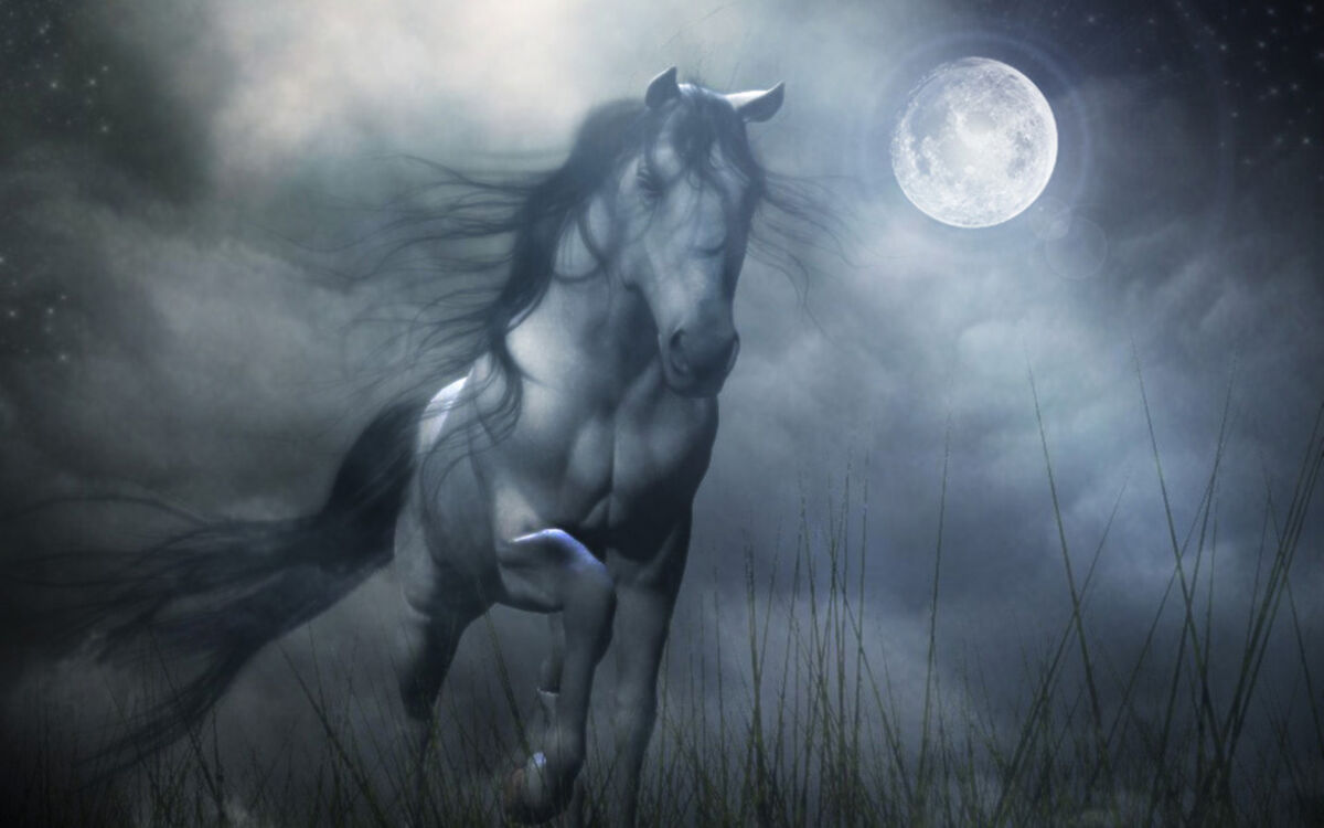 The Grey Ghost The Grey Ghost