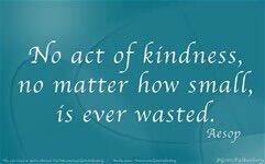 No harm(harmless kindness) No harm(harmless kindness)