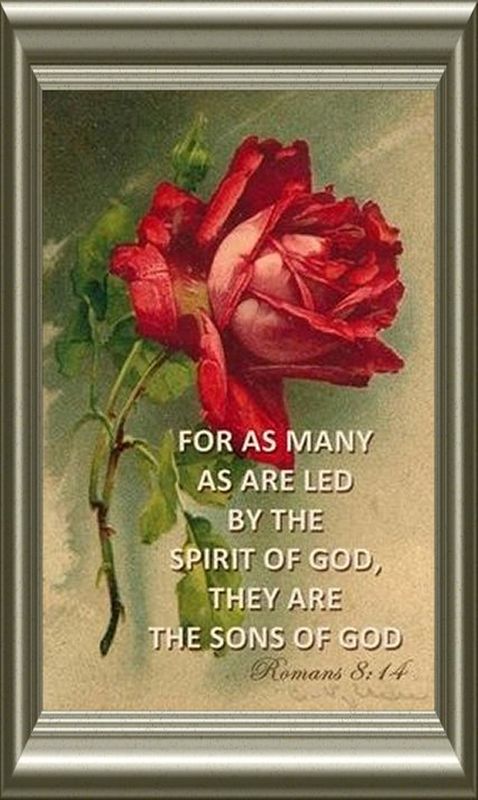 WORSHIP IS NOT LED BY MAN