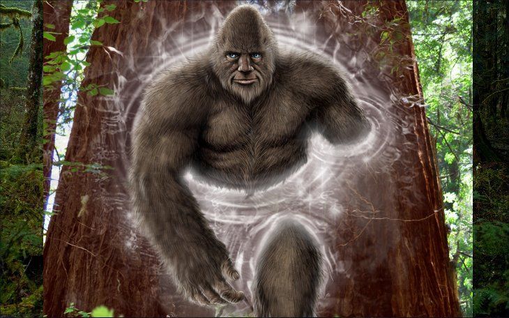 Sasquatch And the Third Dimension