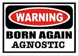 The Cynical Agnostic