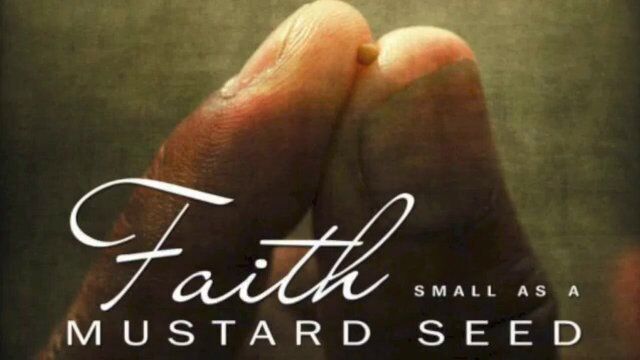 Mustard seed faith