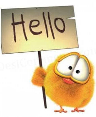 Hello Day