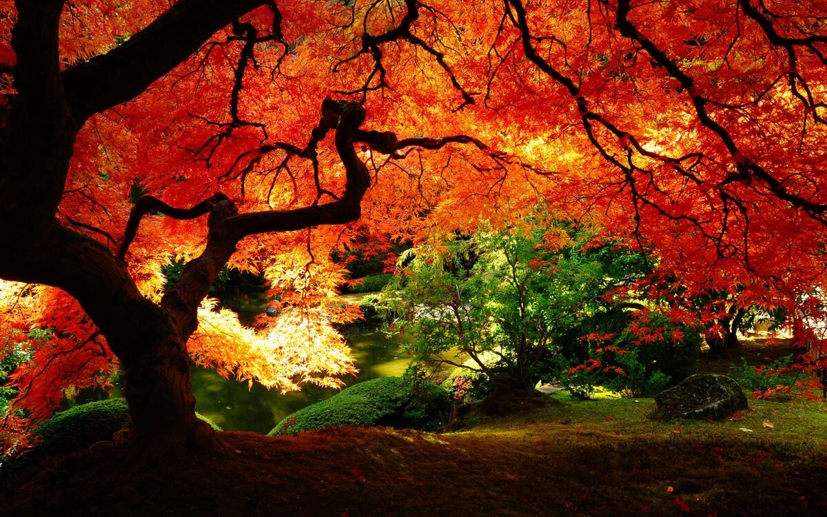The Endless Fall