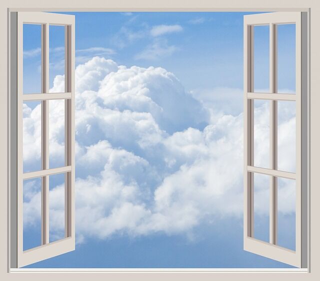 The Window The Window