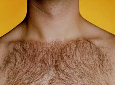 Chest Hairs Chest Hairs