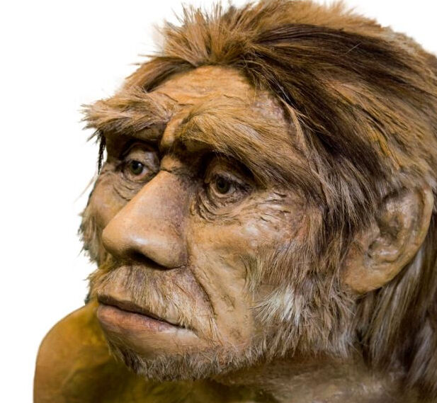 Mr. Neanderthal Man Mr. Neanderthal Man