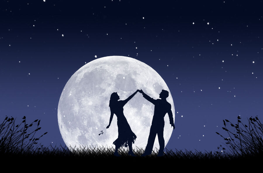 Dream Lover Dream Lover