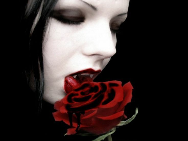 Red Blood of the Rose