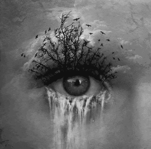 " YOUR EYES NEVER LIE !?"X " YOUR EYES NEVER LIE !?"X