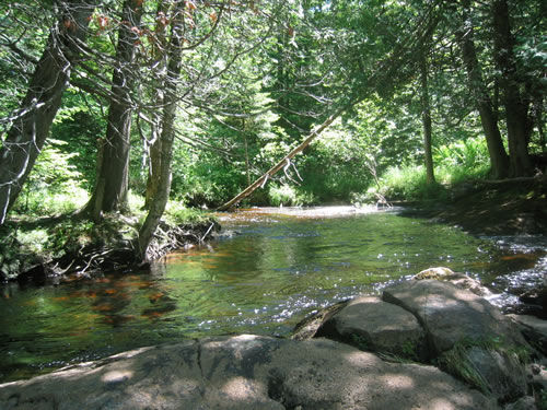 The Silver stream (extract) The Silver stream (extract)