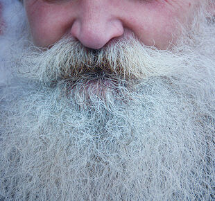 Jack&#039;s Beard