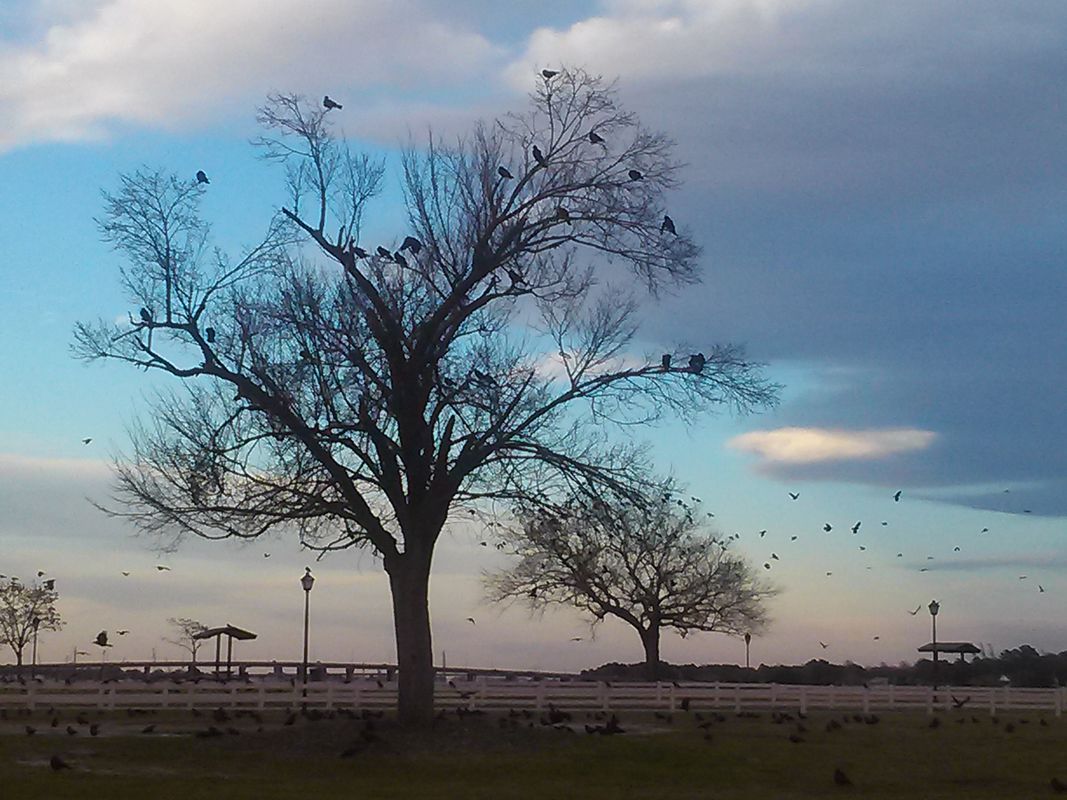 &quot;Watercolor&quot; or Art Trees, II