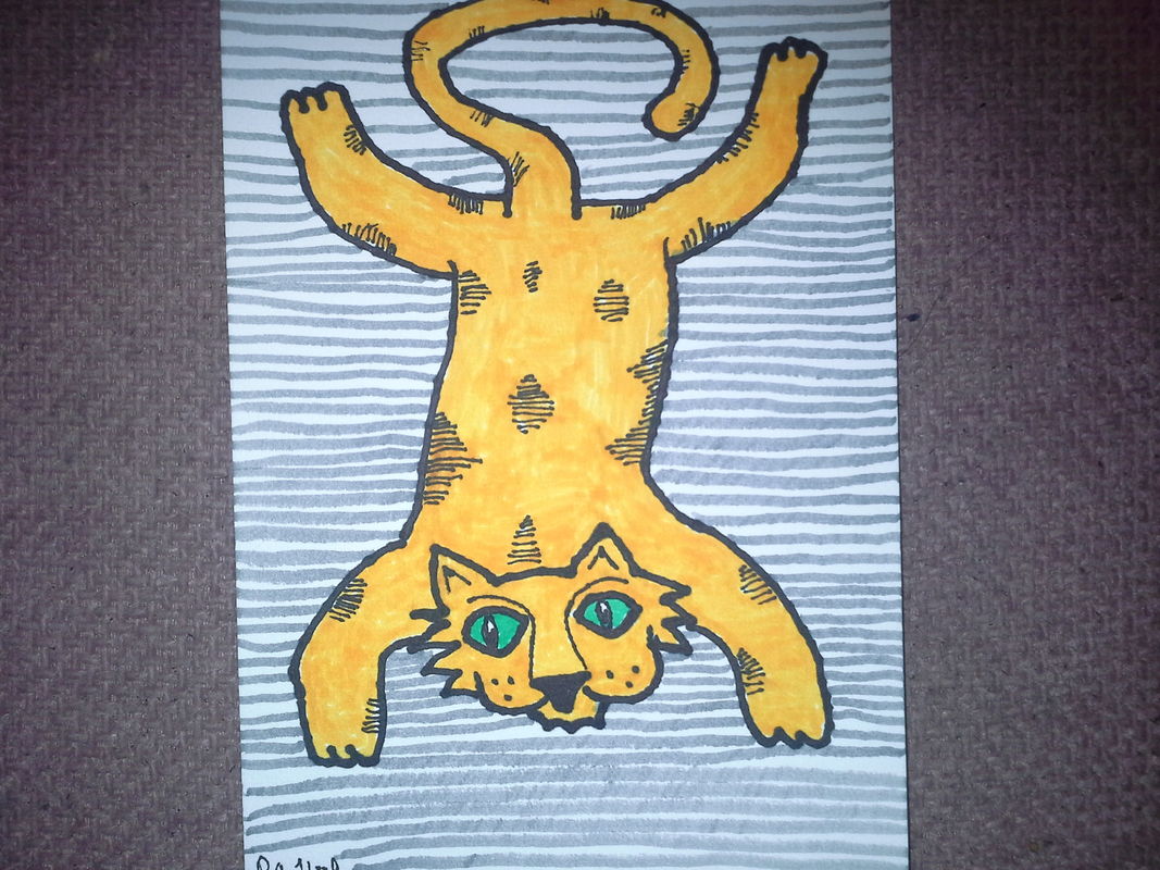 Cat