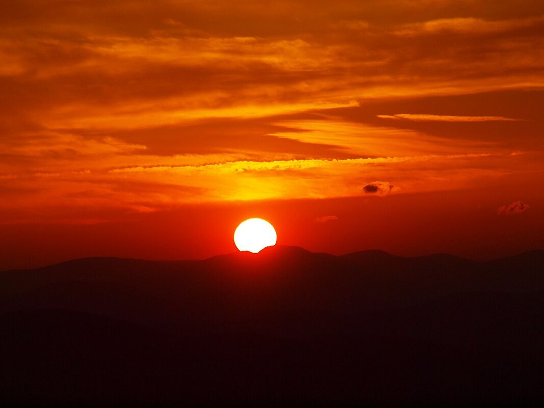 Fire Birds of the Sun