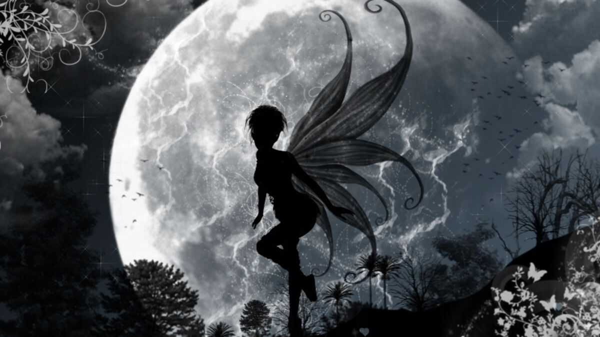 Dance Fairy, Fairy Bright