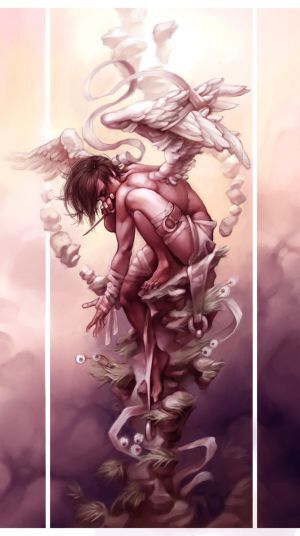 &quot; FRIENDSHIP&#039;S PHOENIX &quot;