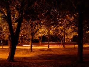 Do You Know the Season?