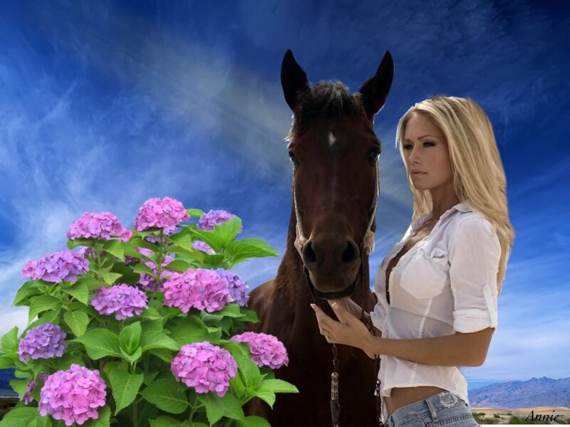 DARK HORSE ARISES