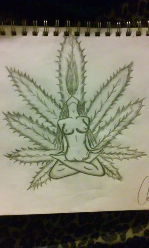 The Medicine Women
