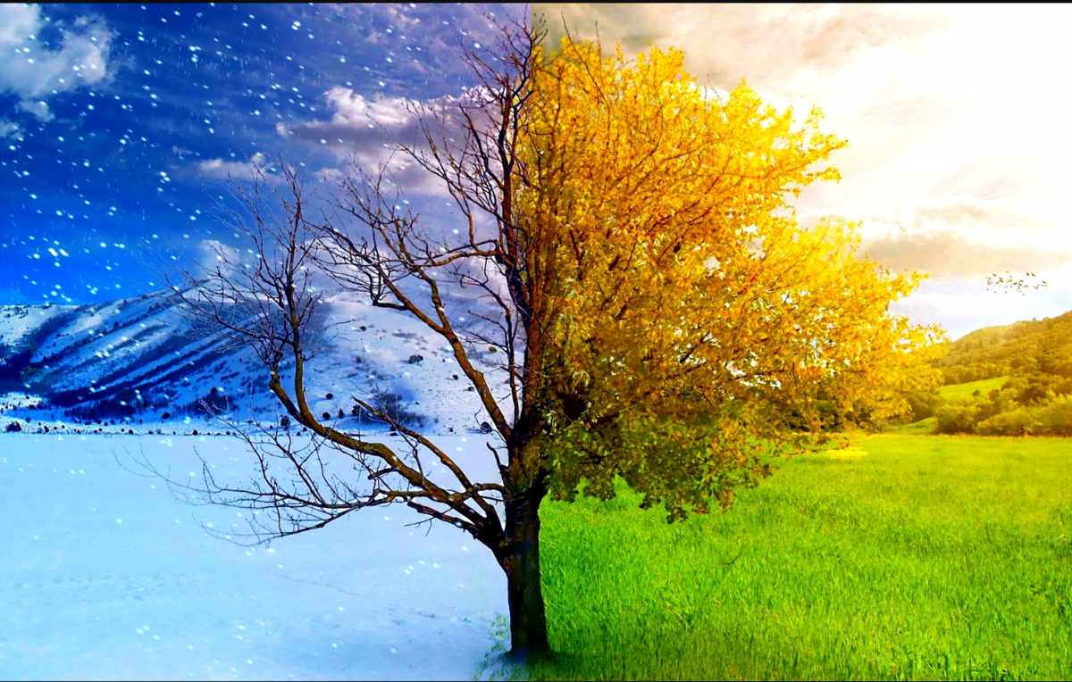 Winters Long Hope Of Love's Spring