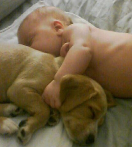 Afternoon Naps