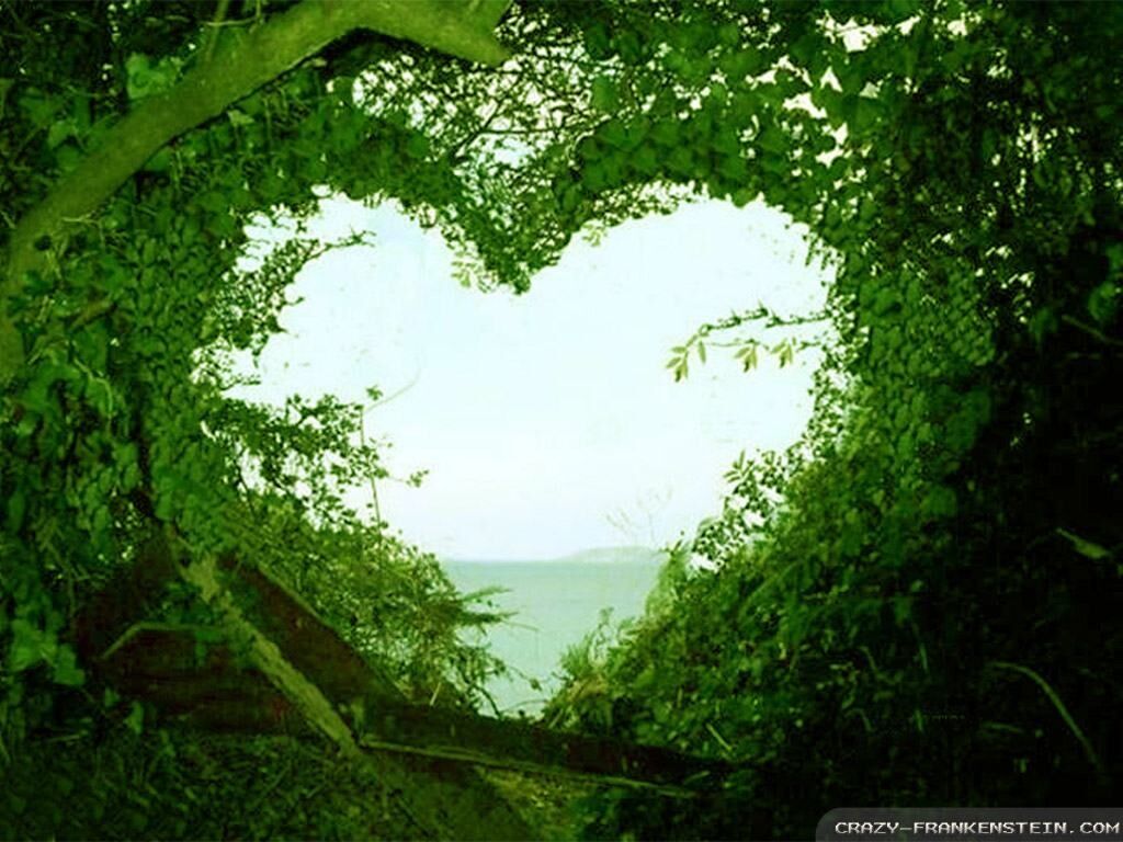 Letter to my love #5 (my angel) Letter to my love #5 (my angel)