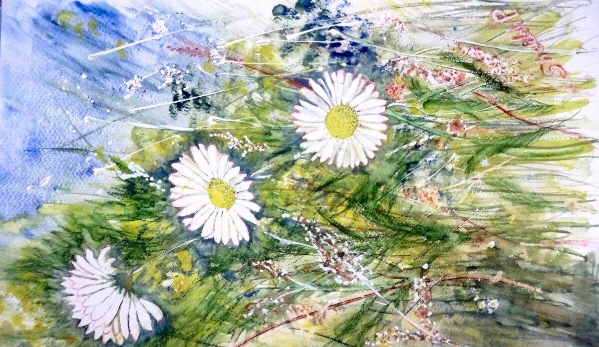 Daisy Painting Daisy Painting