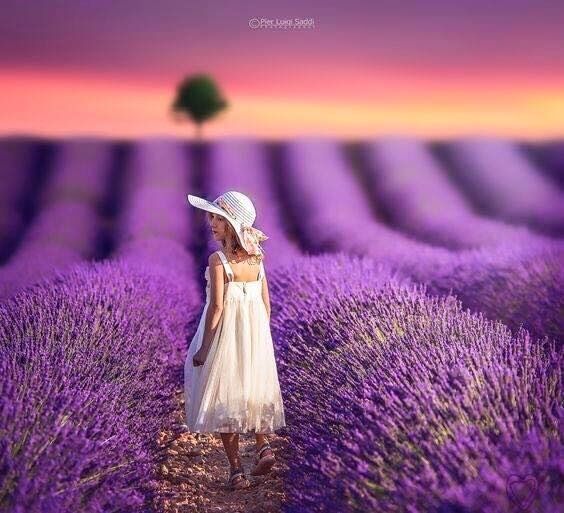 SENSES