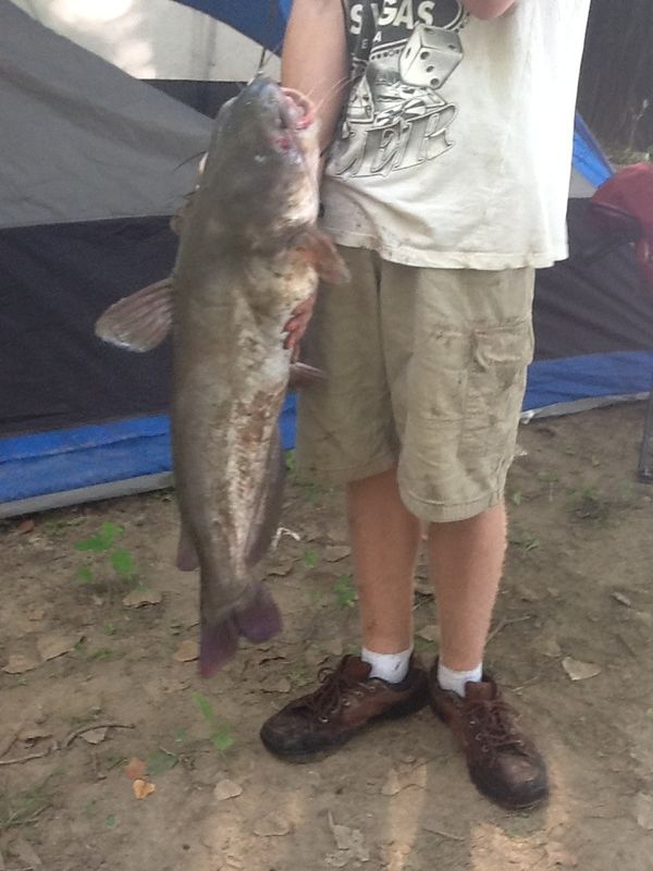 Catch of the day Catch of the day