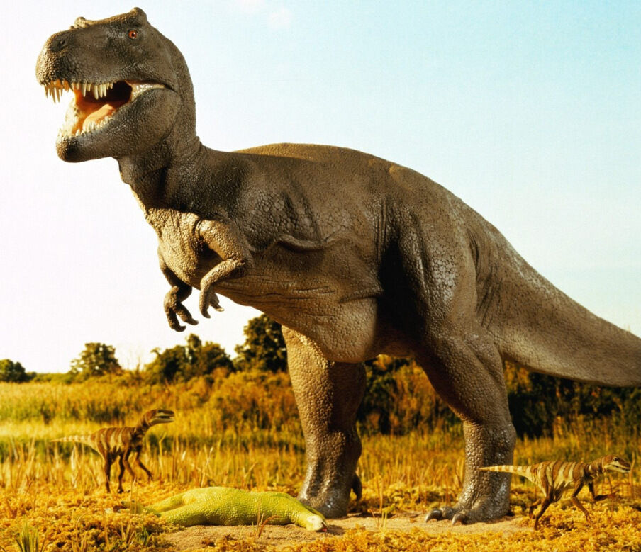 Do Dinos Soar