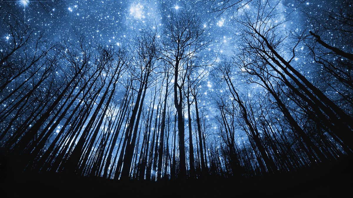 The Desert For The Stars