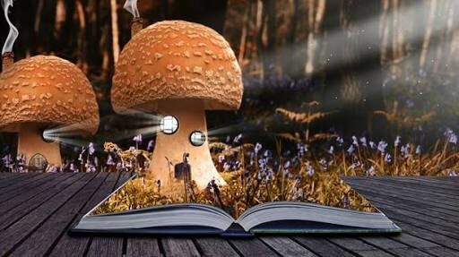 Literary realities