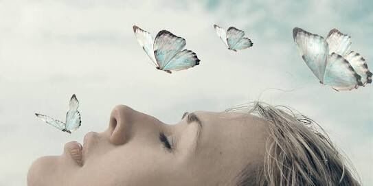 Dreams