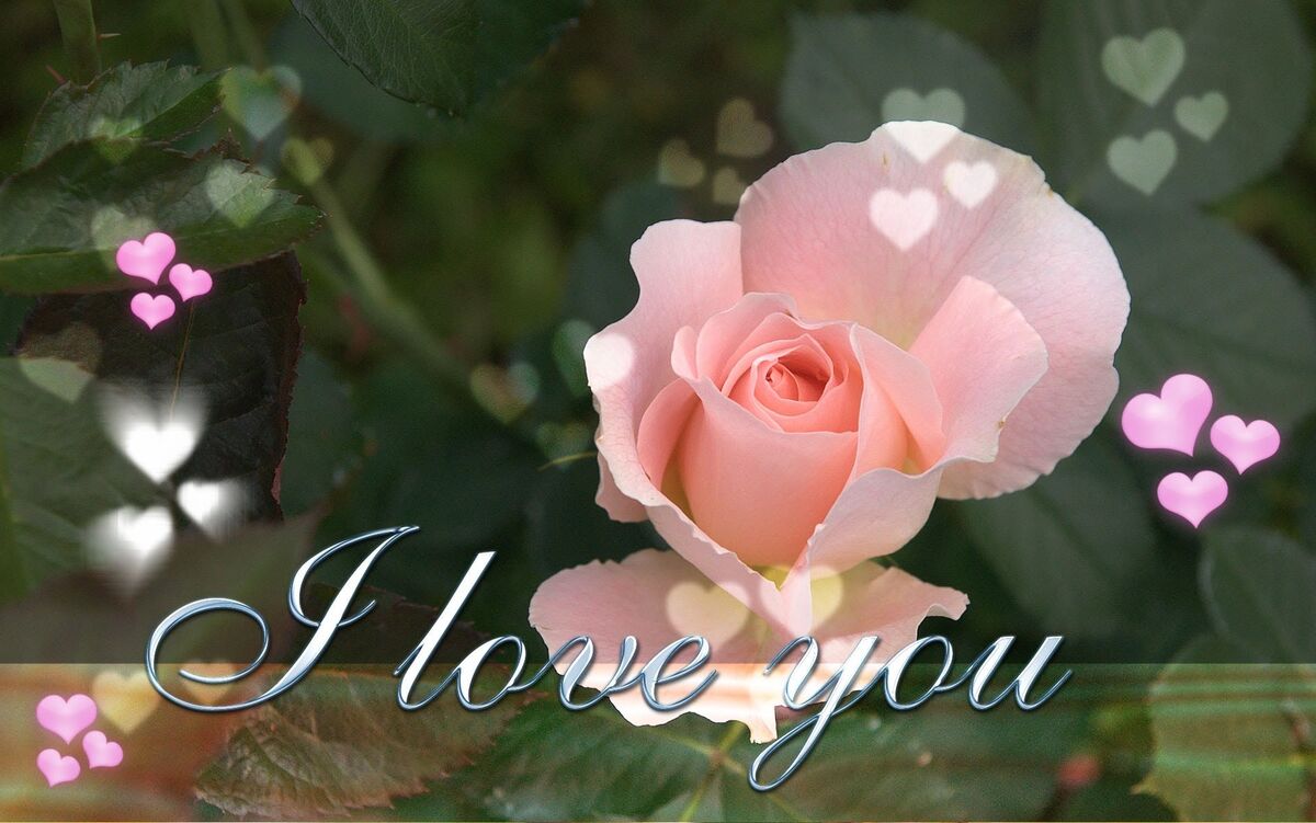 WHEN YOU TRULY LOVE SOMEONE