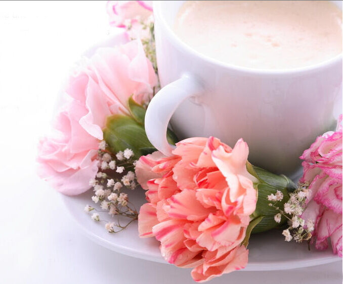 Good Morning
