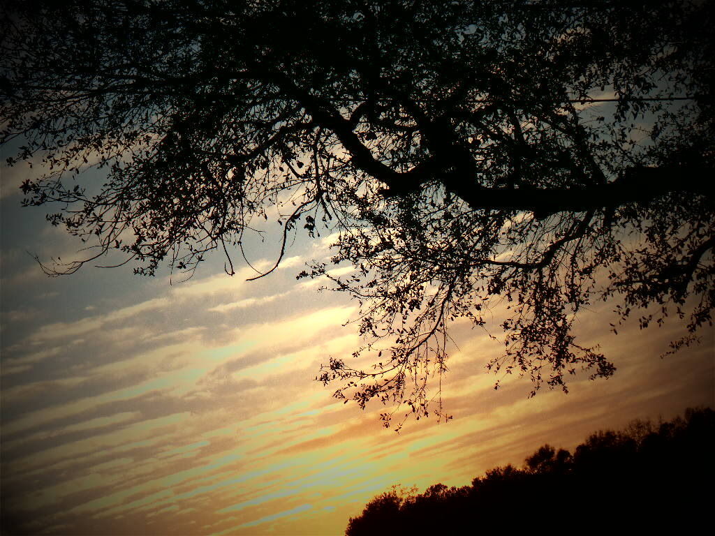 Perfect Sky 