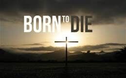 Born to Die