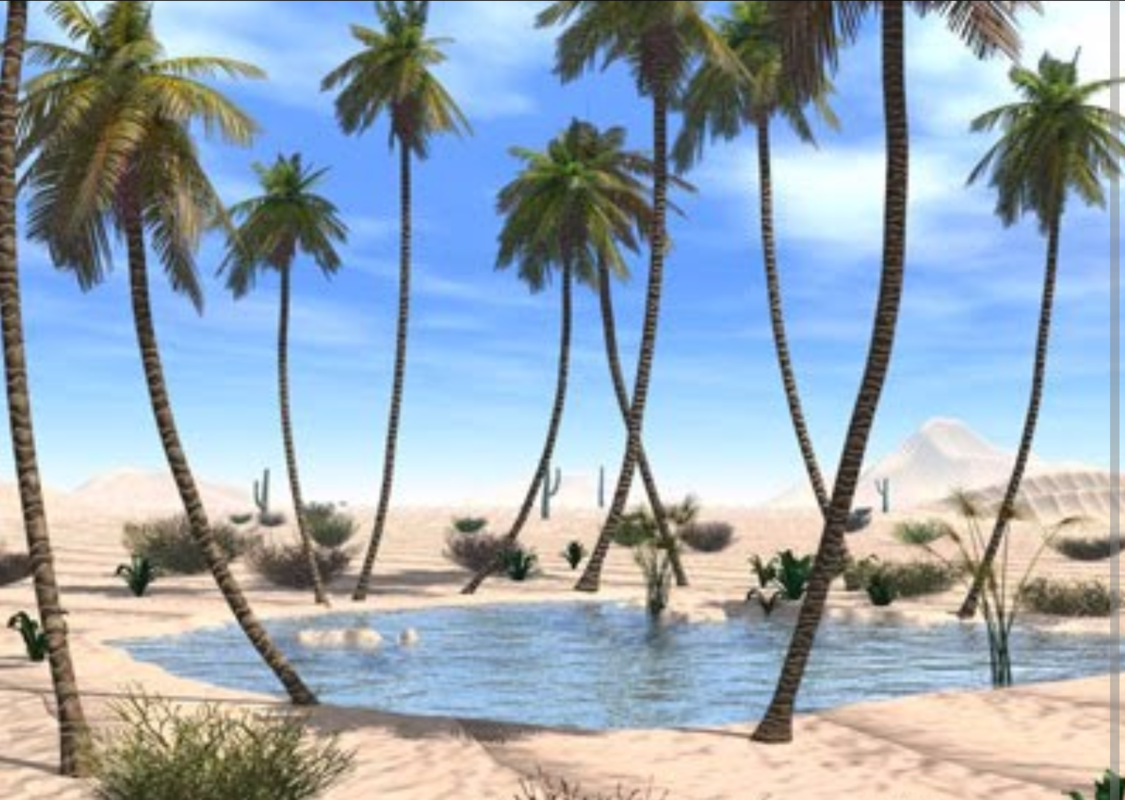 Dried River Of Love Formed Forbidden Oasis 