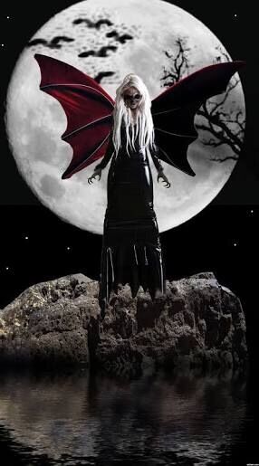 Into the dark night 