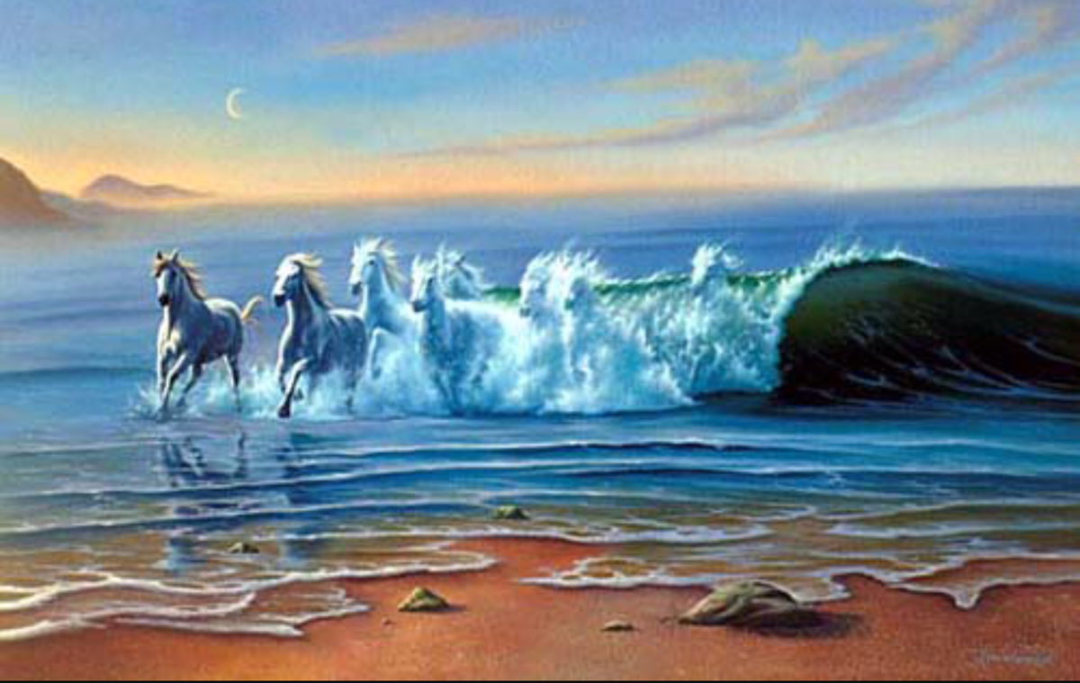 Unhampered Hearts Of The Ocean