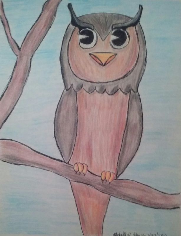 Owl